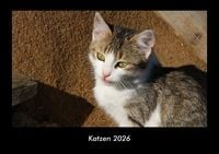 Produktbild: Katzen 2026 Fotokalender DIN A3
