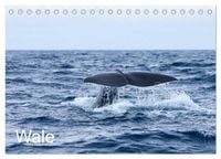 Produktbild: Wale (Tischkalender 2026 DIN A5 quer), CALVENDO Monatskalender