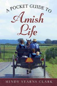 Produktbild: Pckt Gt Amish Life
