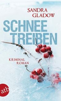 Produktbild: Schneetreiben