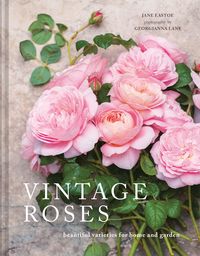 Produktbild: Vintage Roses