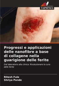 Produktbild: Progressi e applicazioni delle nanofibre a base di collagene nella guarigione delle ferite