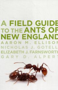 Produktbild: Fgt The Ants Of New England