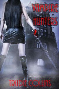 Produktbild: Vampire Hunters