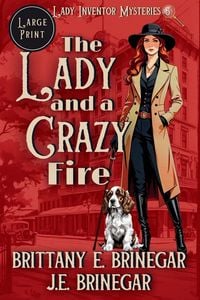 Produktbild: The Lady and a Crazy Fire
