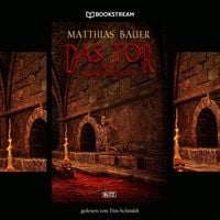 Produktbild: Das Tor