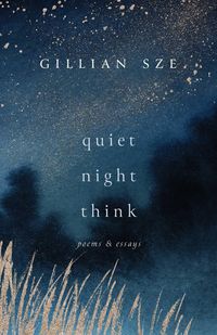 Produktbild: Quiet Night Think