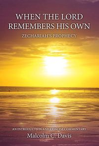Produktbild: When the Lord Remembers His Own