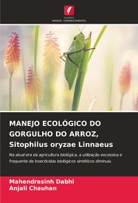 Produktbild: Manejo Ecol&oacute;gico Do Gorgulho Do Arroz, Sitophilus Oryzae Linnaeus