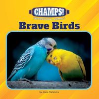 Produktbild: Brave Birds