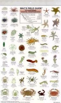 Produktbild: Mac's Field Guides: California Coastal Invertebrates
