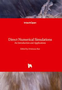 Produktbild: Direct Numerical Simulations