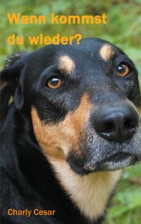 Produktbild: Wann kommst du wieder?