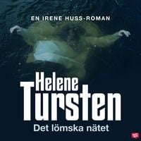 Produktbild: Det l&ouml;mska n&auml;tet