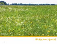 Wanderspaß mit Kindern – Schwarzwald