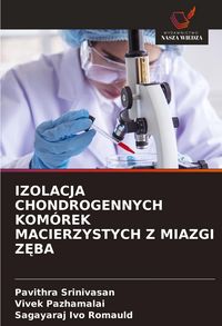 Produktbild: Izolacja Chondrogennych Kom&oacute;rek Macierzystych Z Miazgi Z&iquest;ba