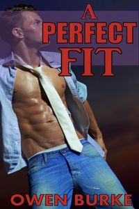 Produktbild: A Perfect Fit (Older Man / Younger Man Gay Sex)