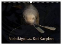 Produktbild: Nishikigoi oder Koi Karpfen (Wandkalender 2027 DIN A3 quer), CALVENDO Monatskalender