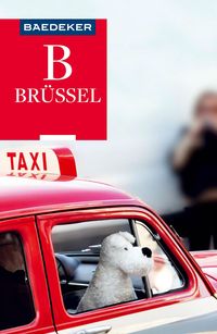 Bild vom Artikel Baedeker Reiseführer Brüssel vom Autor Rainer Eisenschmid