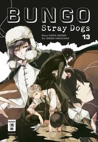 Produktbild: Bungo Stray Dogs 13
