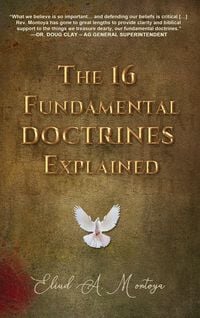 Produktbild: The 16 Fundamental Doctrines Explained