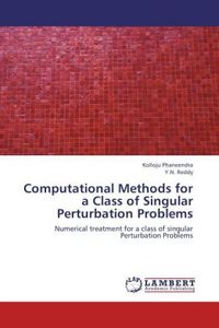 Produktbild: Phaneendra, K: Computational Methods for a Class of Singular