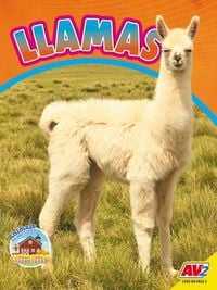 Produktbild: Llamas