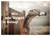 Produktbild: Wie ein Vogel in Rovinj! (Wandkalender 2026 DIN A3 quer), CALVENDO Monatskalender