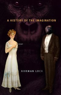 Produktbild: A History of the Imagination