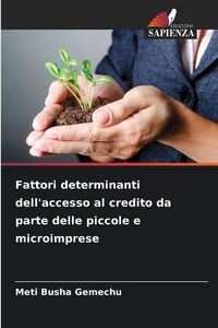 Produktbild: Fattori determinanti dell'accesso al credito da parte delle piccole e microimprese