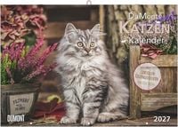 Produktbild: DuMonts Katzen Kalender 2027