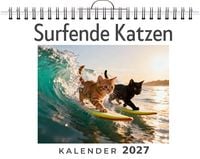 Produktbild: Surfende Katzen
