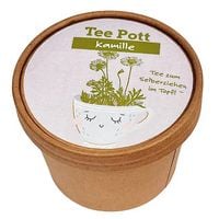 Produktbild Teepott Kamille