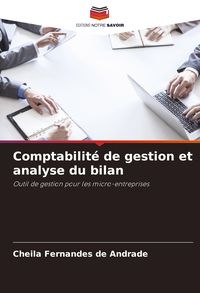 Produktbild: Comptabilit&eacute; de gestion et analyse du bilan