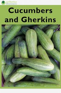 Produktbild: Cucumbers and Gherkins