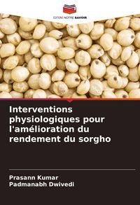 Produktbild: Interventions physiologiques pour l'am&eacute;lioration du rendement du sorgho