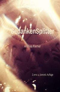Produktbild: GedankenSplitter