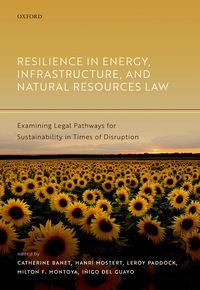 Produktbild: Resilience in Energy, Infrastructure, and Natural Resources Law