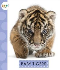 Produktbild: Baby Tigers