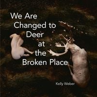 Produktbild: We Are Changed to Deer at the Broken Place