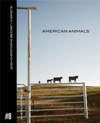 Produktbild: Carnet 8 american animals