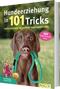 Bild vom Artikel Hundeerziehung in 101 Tricks vom Autor Kyra Sundance