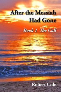 Produktbild: After the Messiah Had Gone