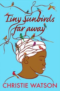 Produktbild: Tiny Sunbirds Far Away