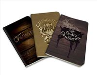 Harry Potter: Diagon Alley Pocket Notebook Collection (Set of 3) von Insight Editions