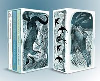 Produktbild: Angela Harding Box Set