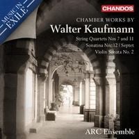 Produktbild: Kammermusik (Ersteinsp.)
