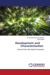 Produktbild: Development and Characterization