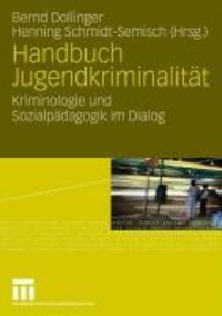 Produktbild: Handbuch Jugendkriminalit&auml;t