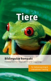 Produktbild: Bildimpulse kompakt: Tiere